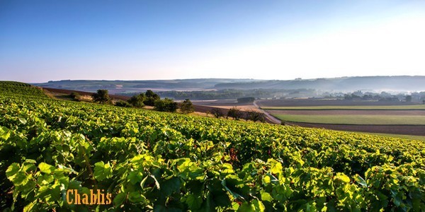 Chablis