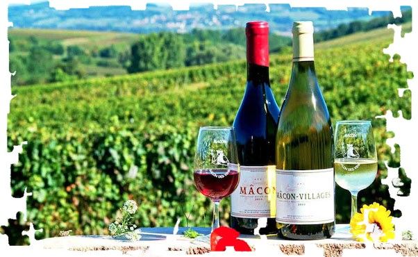 Vins-de-Bourgogne