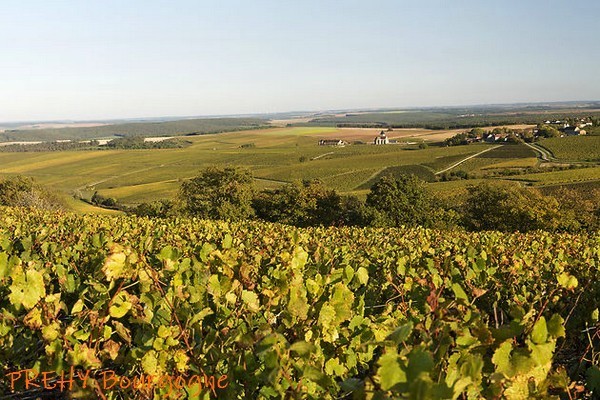 La Bourgogne